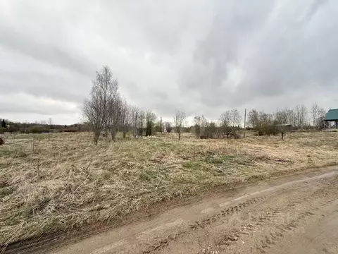 Участок в Вологодская область, Кирилловский муниципальный округ, д. ...