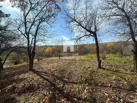 Участок в Амурская область, Благовещенский муниципальный округ, село ...