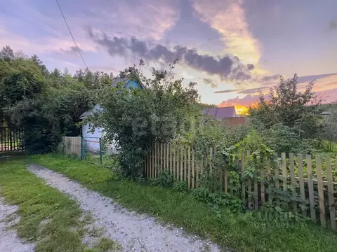 Дом в Тюменская область, Тюмень Дорожник СНТ, ул. Кедровая (20 м)