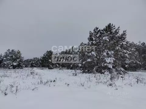 Участок в Калужская область, Дзержинский муниципальный округ, Дворцы ...