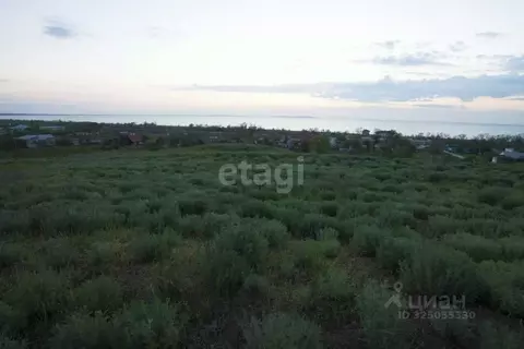 Участок в Крым, Ленинский район, Белинское с/пос, с. Новоотрадное ул. ...