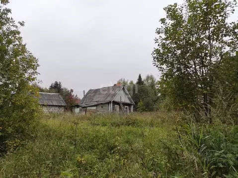 Участок в Архангельская область, Котлас муниципальное образование, д. ...