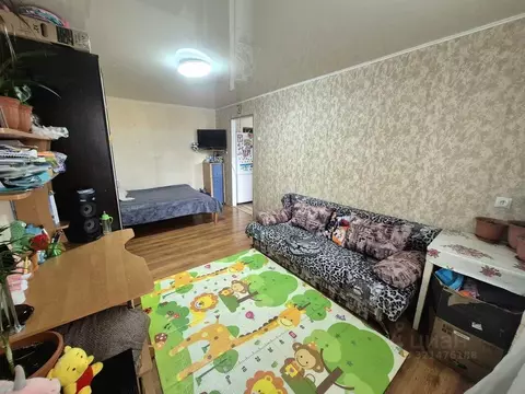 1-к кв. Севастополь, Севастополь, Балаклава г. ул. Крестовского, 35 ...