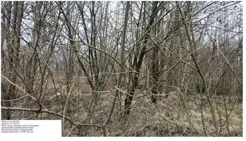 Участок в Московская область, Дмитровский муниципальный округ, д. ...