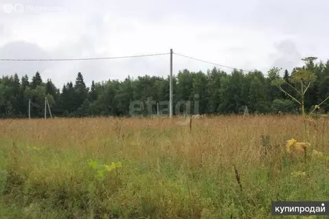 Участок в Уфимский район, Михайловский сельсовет, деревня Суровка (8 ...