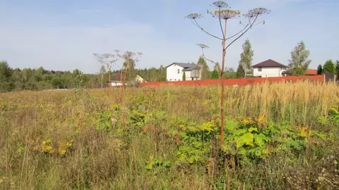 Участок в Московская область, Рузский муниципальный округ, д. Гомнино  ...