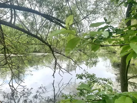 Дом в Калужская область, Ферзиковский муниципальный округ, д. Китаево ...