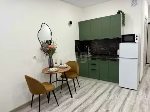 Студия Тюменская область, Тюмень ул. Павла Никольского, 10к1 (25.0 м)