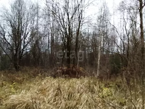 Участок в Калужская область, Город Калуга городской округ, д. Заречье  ...