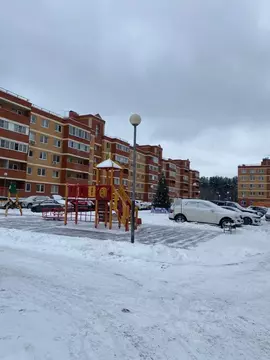 1-к кв. Московская область, Щелково городской округ, д. Большие ...