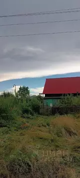 Дом в Алтайский край, Калманский район, пос. Кубанка Восточная ул. (42 ...