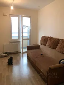 1-к кв. Санкт-Петербург просп. Васнецовский, 18 (31.0 м)