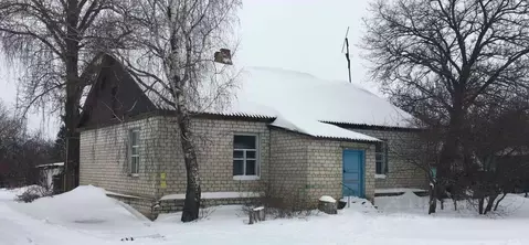 Офис в Курская область, Касторенский район, пос. Лачиново Школьная ...