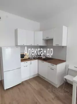 Студия Санкт-Петербург ул. Плесецкая, 20к1 (25.0 м)