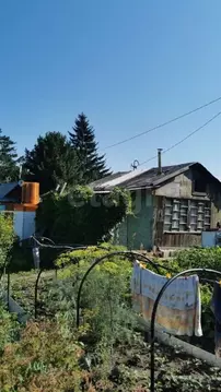 Участок в Новосибирская область, Новосибирск Садовод Сибирь 2 СНТ, 121 ...