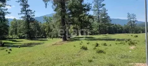 Участок в Алтай, Усть-Коксинский район, с. Юстик ул. Ленкома (13.0 ...