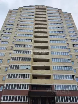 Студия Московская область, Красноармейск Пушкинский городской округ, ...