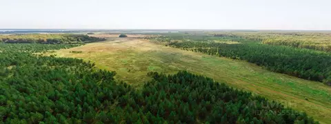 Участок в Свердловская область, Сысертский муниципальный округ, с. ...