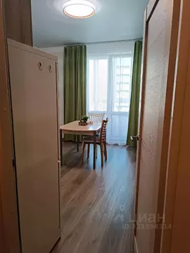 Студия Ленинградская область, Ломоносовский район, Виллозское ...