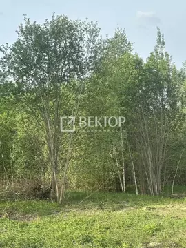Участок в Костромская область, Костромской район, Бакшеевское с/пос, ...