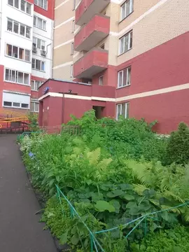 Помещение свободного назначения в Московская область, Одинцовский ...