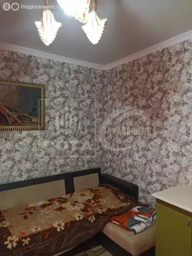 Квартира-студия: Новая Усмань, Полевая улица, 36А (20 м)