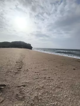 Участок в Крым, Ленинский район, Глазовское с/пос, с. Юркино ул. ...