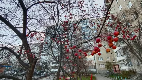 2-к кв. Свердловская область, Екатеринбург ул. Большакова, 21 (48.1 м)