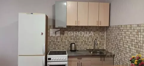 Студия Новосибирская область, Новосибирск Затулинский жилмассив, ул. ...