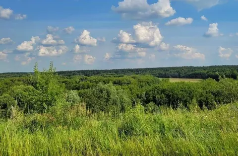 Участок в Татарстан, Высокогорский район, Усадское с/пос, д. Чубарово ...