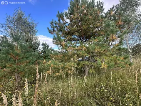 Участок в Московская область, городской округ Воскресенск, деревня ...