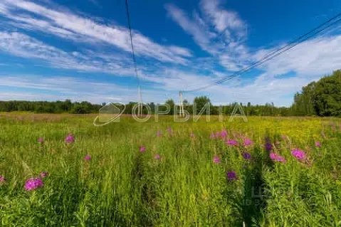 Участок в Тюменская область, Нижнетавдинский муниципальный округ, ...