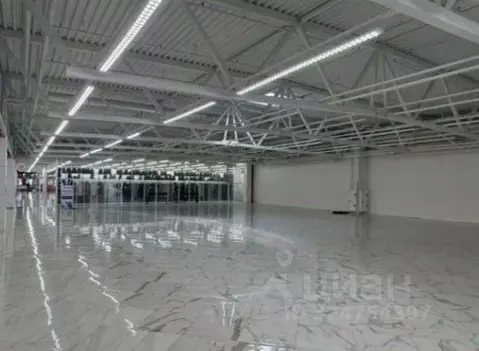 Торговая площадь в Санкт-Петербург Дунайский просп., 27к1 (800 м)