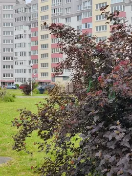 2-к кв. Калининградская область, Калининград Флотская ул., 9 (67.0 м)