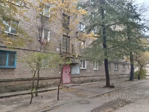 Студия Воронежская область, Воронеж бул. Пионеров, 11 (18.0 м)