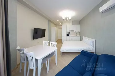 1-к кв. Ставропольский край, Кисловодск ул. Шаумяна, 31/33 (30.0 м)