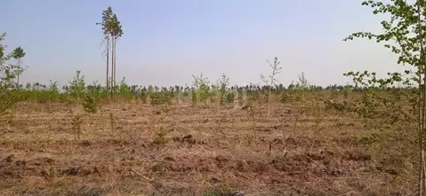 Участок в Забайкальский край, Читинский район, с. Смоленка  (94.6 ...