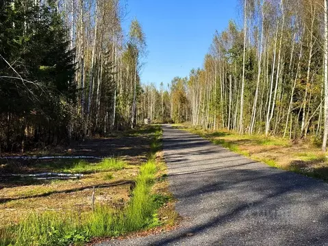 Участок в Московская область, Дмитровский муниципальный округ, ...