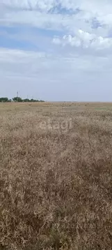 Участок в Крым, Сакский район, с. Штормовое ул. Виноградная (6.0 сот.)