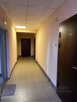 3-к кв. Санкт-Петербург пос. Шушары, Московское ш., 246 (88.0 м)