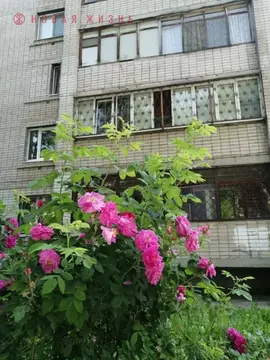 3-к кв. Самарская область, Самара просп. Юных Пионеров, 142а (79.5 м)