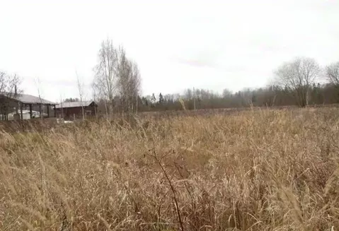 Участок в Московская область, Коломна городской округ, д. Берняково  ...