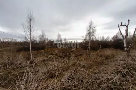 Участок в Курганская область, Шадринский муниципальный округ, с. Ключи ...