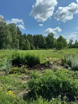 Таунхаус в Челябинская область, Каслинский район, с. Щербаковка Новая ...