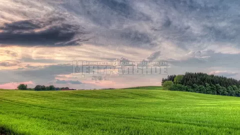 Участок в Смоленская область, Смоленский муниципальный округ, с. ...