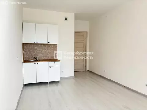 Квартира-студия: Санкт-Петербург, проспект Ветеранов, 185к2 (23.7 м)