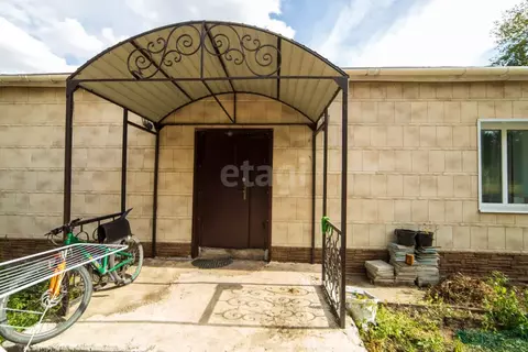 Дом в Амурская область, Благовещенск Игнатьевское ш., 37/1 (167 м)