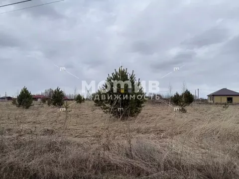 Участок в Тюменская область, Тюменский муниципальный округ, с. Борки  ...