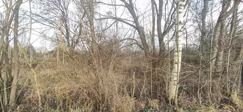 Участок в Московская область, Талдомский городской округ, д. Бурцево  ...