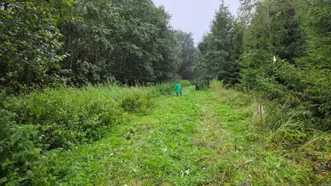 Участок в Московская область, Одинцовский городской округ, д. Фуньково ...